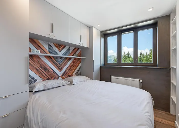 Renove, Skis Aux Pieds, 3 - Fr-1-564-75 Daire